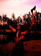 Bloody Ritual