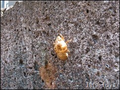 IMG_0059 IMG_0059