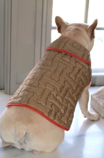 Now you give it a try with the barn coat. Not bad, Sharkey, but we can't see your face! Now you give it a try with the barn coat. Not bad, Sharkey, but we can't see your face!