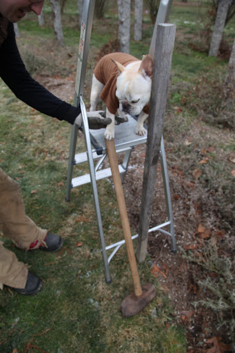 Maybe you could just help me lift this heavy thing.