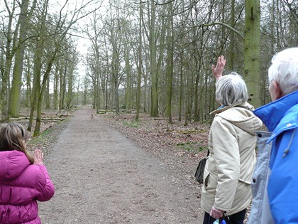 Attingham park