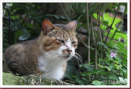 IMG_6137 IMG_6137