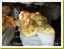 IMG_0441 IMG_0441