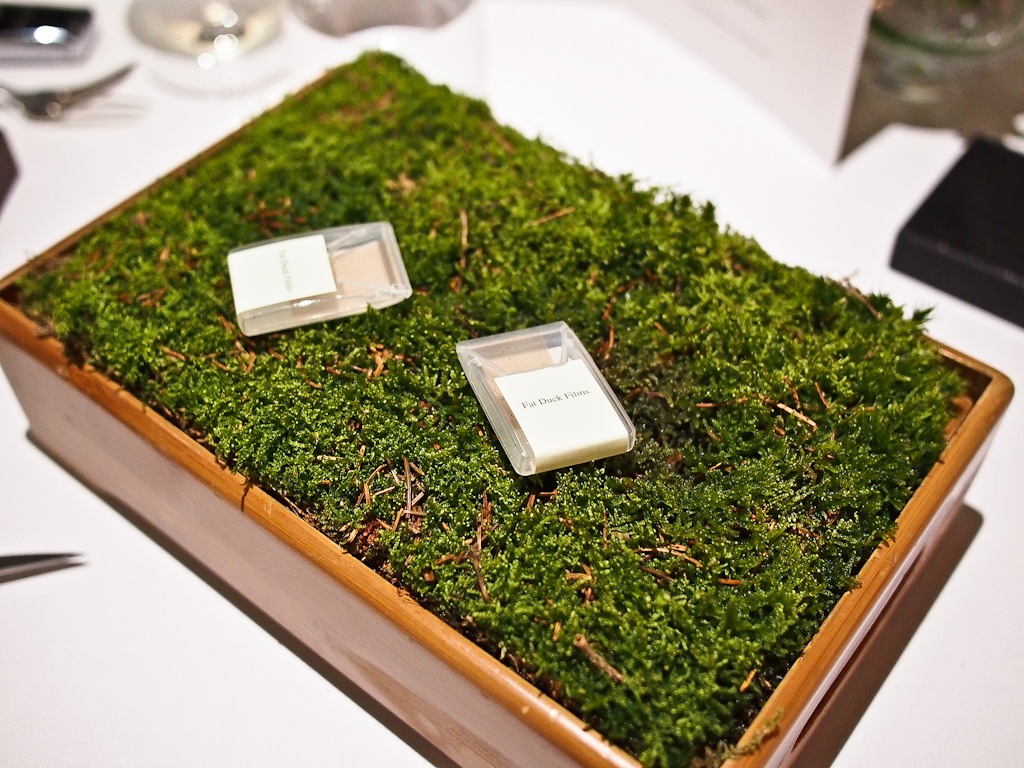 [P5246329-13.jpg]
