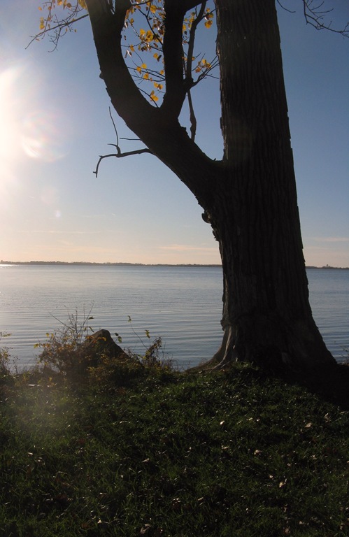 [IMG_00598.jpg]
