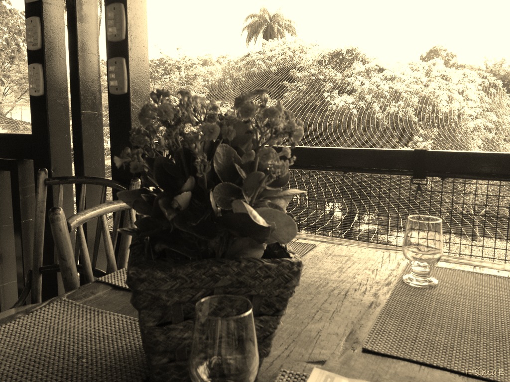 [HiimaB_ParqueValeVerde_%255B4%255D.jpg]