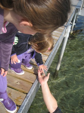 IMG_8928 IMG_8928