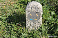 IMG_7934.JPG Photo