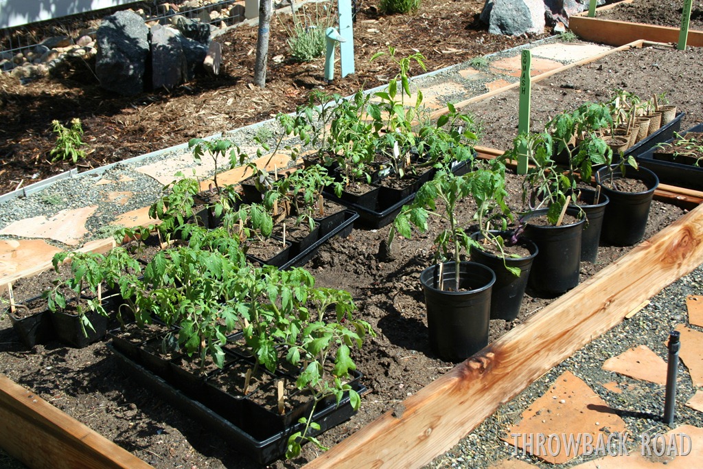 [garden%2520tour%2520may%252029%2520016%255B3%255D.jpg]
