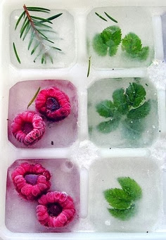 To make your drink flavorful and attractive, freeze berries or herbs in a traditional ice mold before adding to lemonade, a cocktail, or simple water. My favorites are raspberries, pomegranate seeds, basil or mint. To make your drink flavorful and attractive, freeze berries or herbs in a traditional ice mold before adding to lemonade, a cocktail, or simple water. My favorites are raspberries, pomegranate seeds, basil or mint.