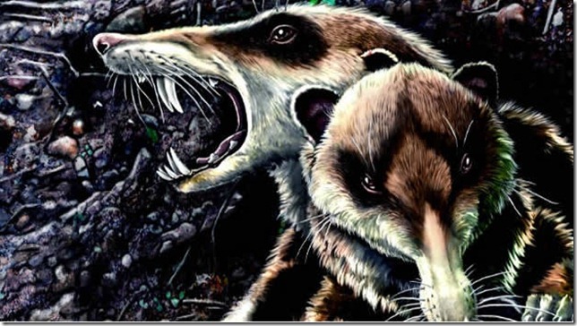 ardilla-dientes-de-sable-cronopio