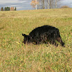 BP-2010-podzimko-1106-009.jpg