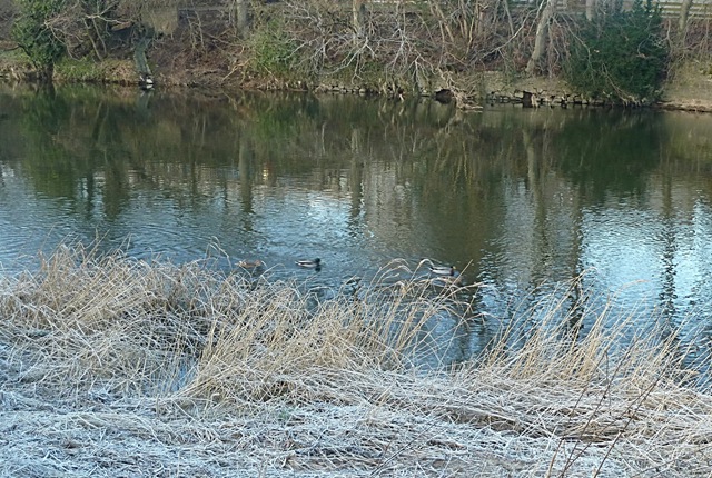 [reflections%255B4%255D.jpg]