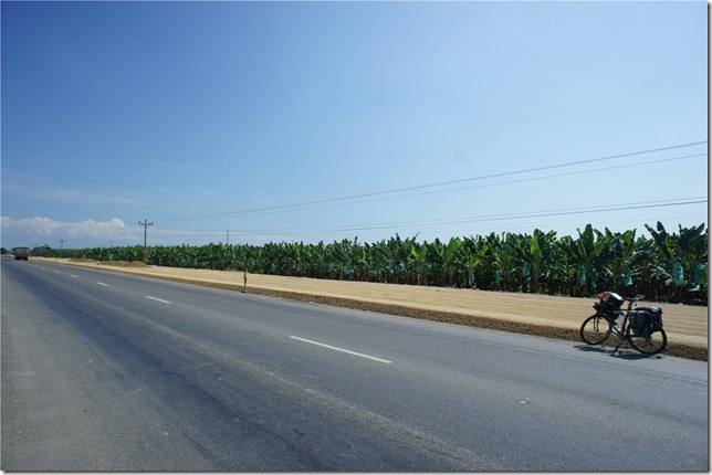 s-DSC07071 s-DSC07071