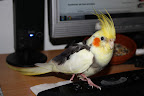 IMG_2486.JPG