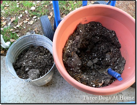 planting 006