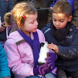 Kinderboerderij Wilrijk