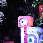DSC_8504-2.jpg