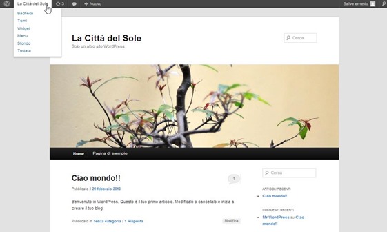 sito-virtuale-wordpress