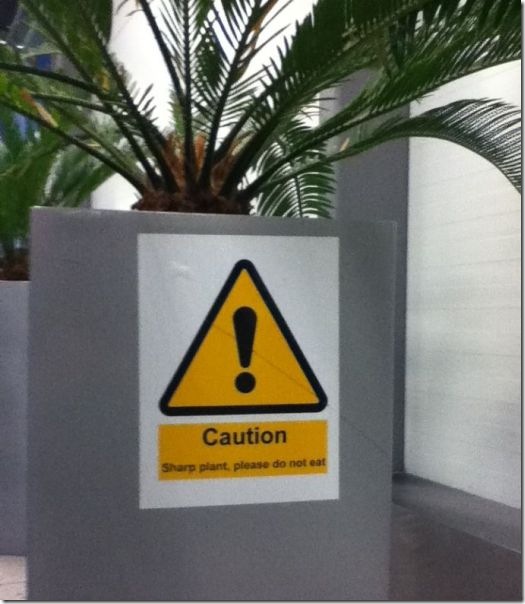 viral-picdump-pics-43