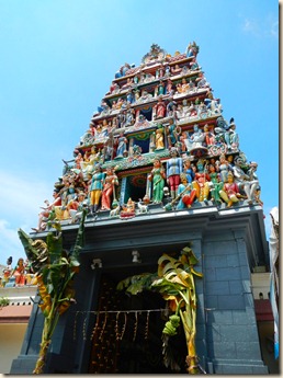 DSCN6679 DSCN6679