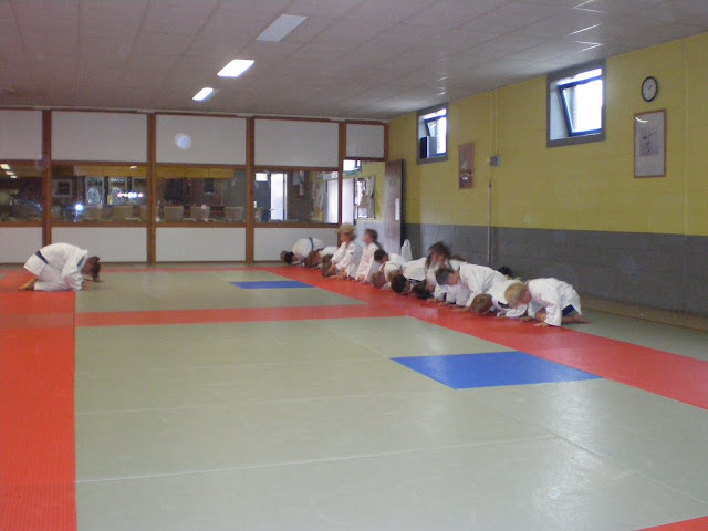 Judo - 3 juli 2009: Foto