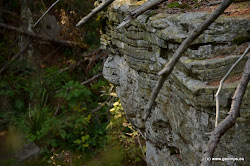 Hypotetická podoba vojvody Radegasta, případně čerta podle lidové pověsti je z profilu nedalekého skalního útvaru dobře zřetelná.