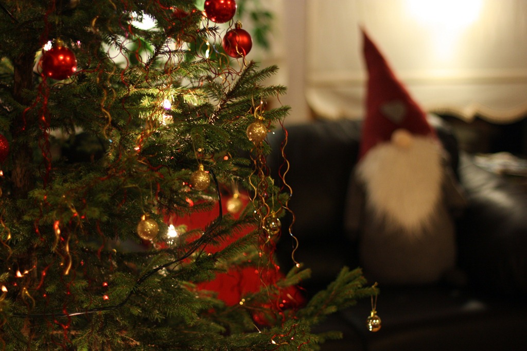 [IMG_1257%255B4%255D.jpg]