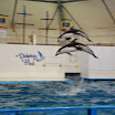 hokkaido_428.jpg