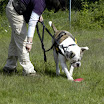 attila_bodentarget_1_7.5.09.jpg