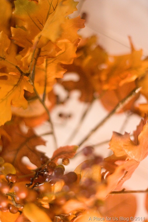 [IMG_9141_1058%255B4%255D.jpg]