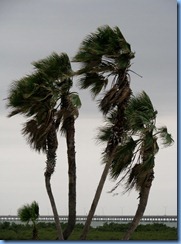 6647 Texas, South Padre Island - KOA Kampground - New Years afternoon