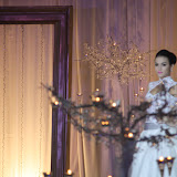 MCIL 09 WEDDING EXHIBITIONS