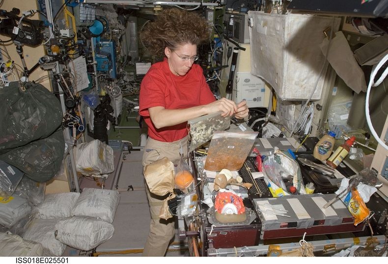 Sandra-Magnus-ISS-2 Sandra-Magnus-ISS-2