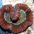 DSC_2167.jpg