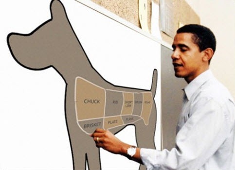 [obama-dog-meat-chart%255B8%255D.jpg]