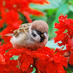 DSC_0094a.jpg
