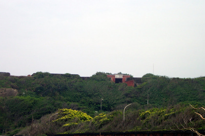 pic16.jpg