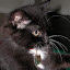 DSCN7945.jpg DSCN7945.jpg