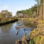 2013_10_27_Po_malej_przerwie_15.jpg