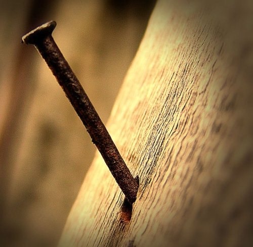 [z9-dog53Vd8%255B4%255D.jpg]