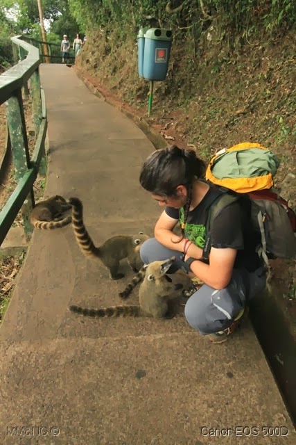 [IMG_8934%255B4%255D.jpg]