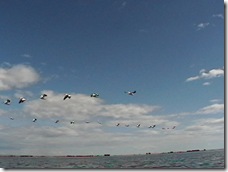IMGA0967 IMGA0967