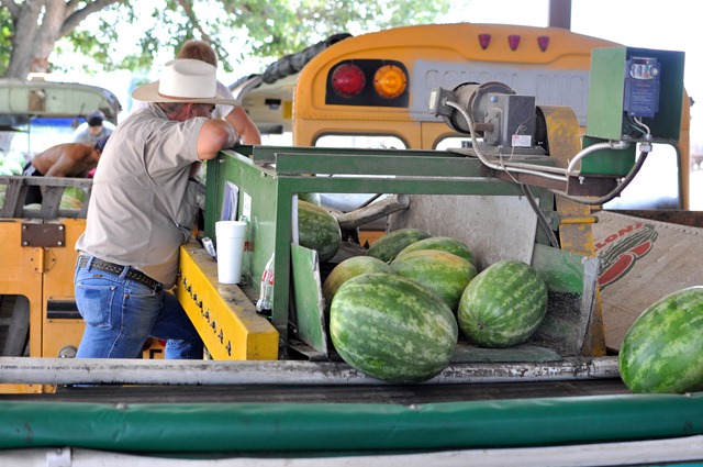 [watermelons%252011%25200705%2520%252870%2529%255B4%255D.jpg]