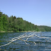 dsc03243.jpg