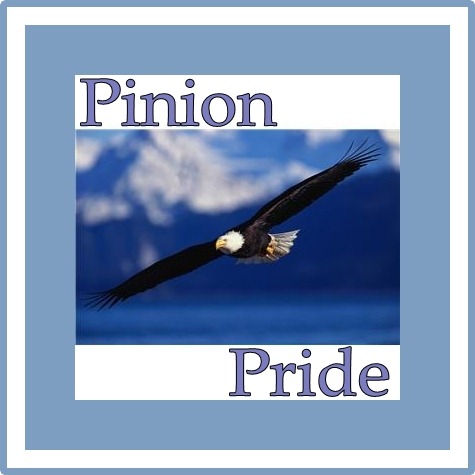 [eagle%255B2%255D.jpg]