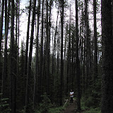 IMG_1138.JPG