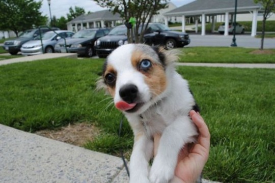 [viral-picdump-pics-4b1ce1%255B2%255D.jpg]