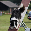 IMG_9850.JPG