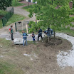IMG_0626.jpg